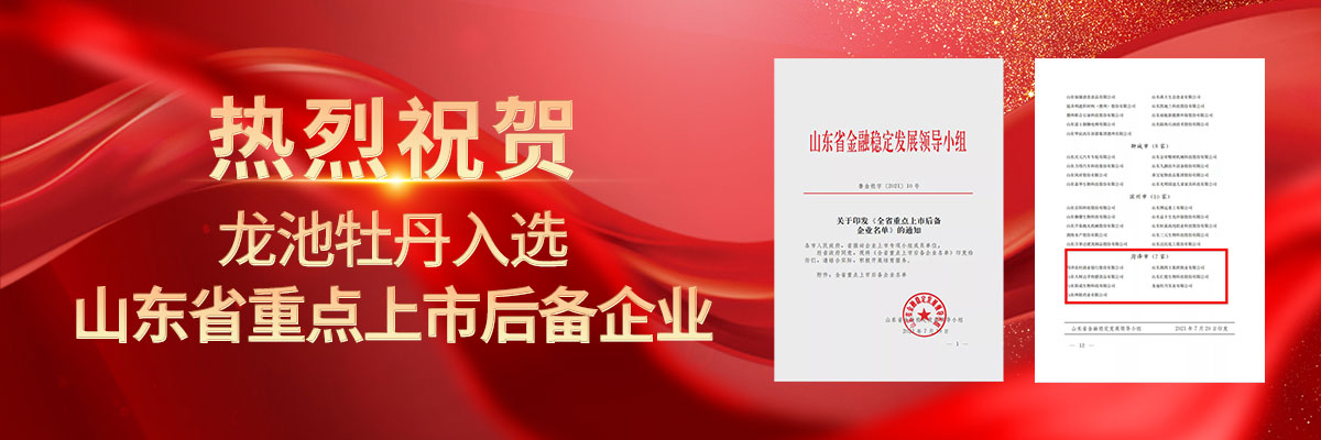 入選重點(diǎn)上市企業(yè)